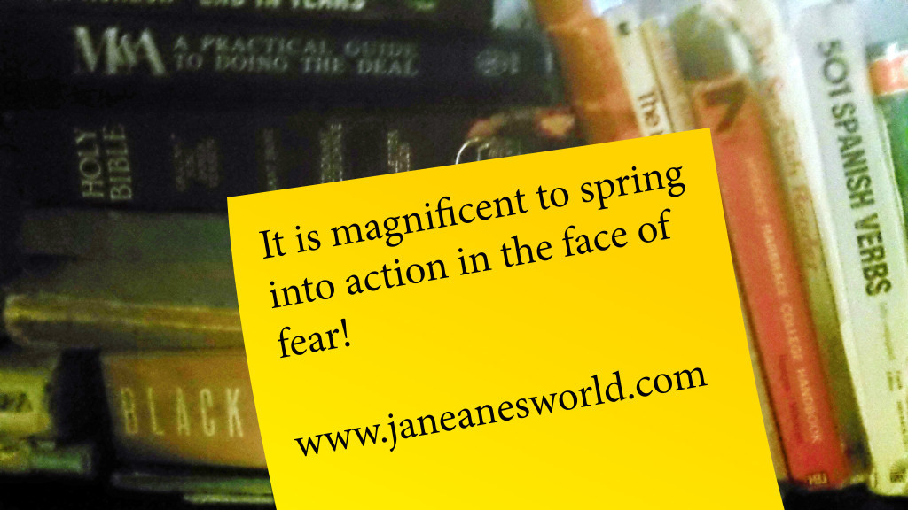 Magnificent Monday,spring into action, take action now, TAN, fear, courage, just do it