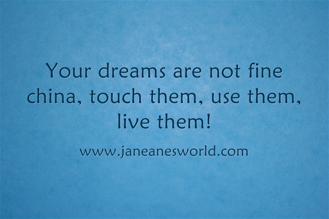 www.janeanesworld.com take action now dream not china