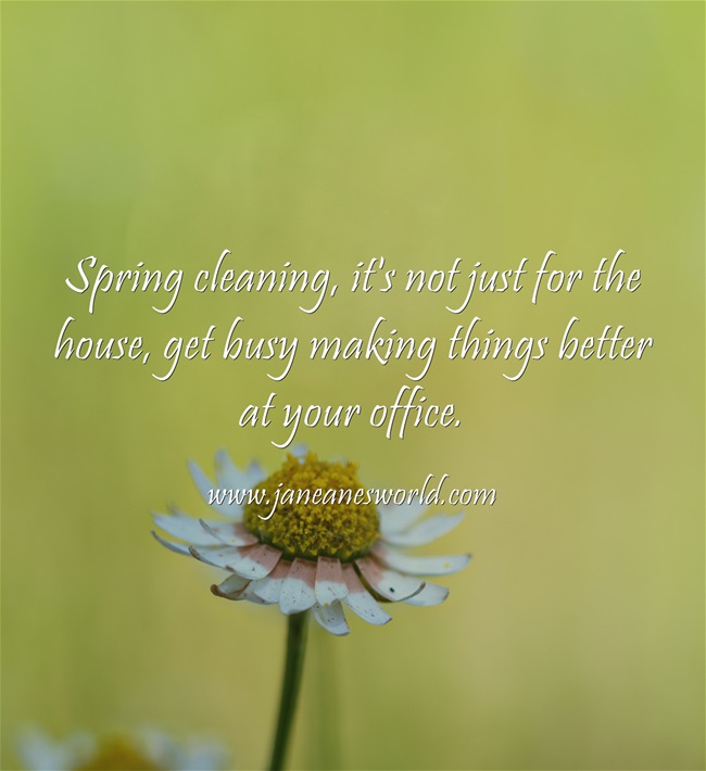 spring clean at your business www.janeanesworld.com