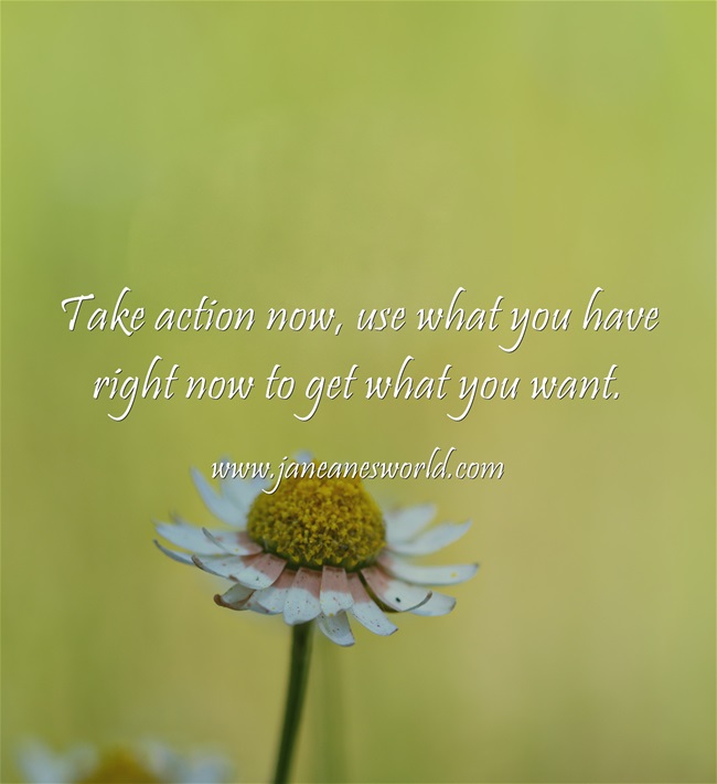 take action now to get what you want www.janeanesworld.com