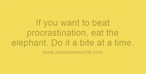 beat procrastination - eat the elephant www.janeanesworld.com