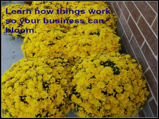 learn how your business works www.janeanesworld.com