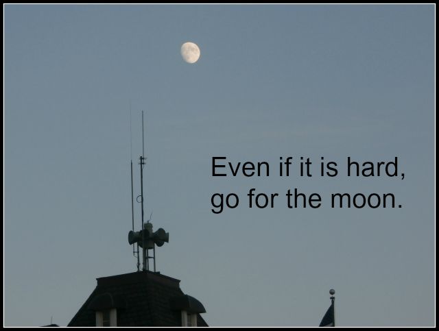 Go for the Moon www.janeanesworld.com