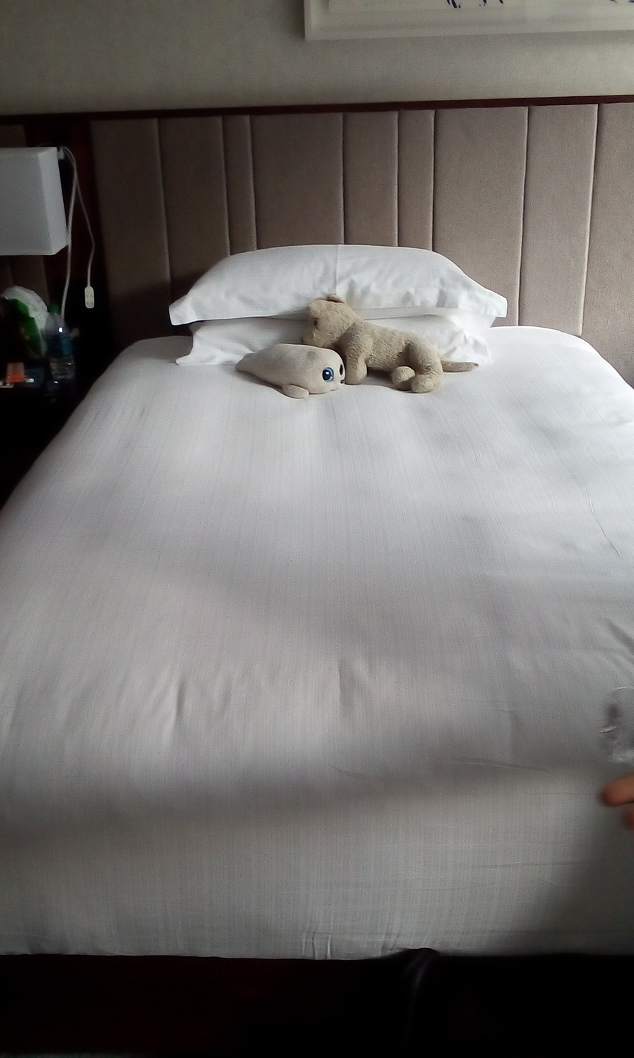 Verizon FIOS helping me celebrate 27 years