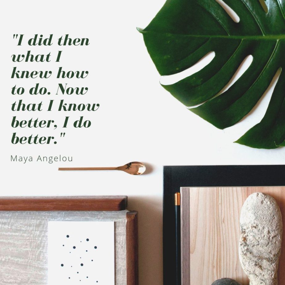 Never forget, Maya Angelou was correct when she said, "I did then what I knew how to do. Now that I know better, I do better." Also be sure to remember the three lessons for entrepreneurs from this quote: always do your best, work to make your best better, and use what you learn.