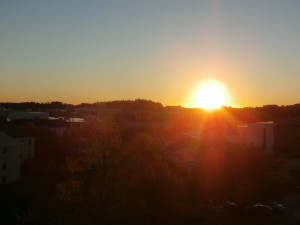 Today Janeane's World is celebrating Women's History Month by sharing a poem from the great Maya Angelou entitled, "Still I Rise." written in 1978.  